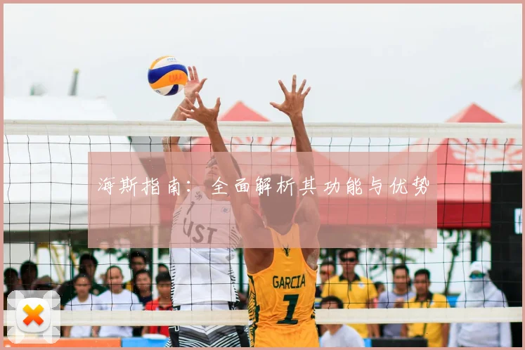 海斯指南：全面解析其功能与优势